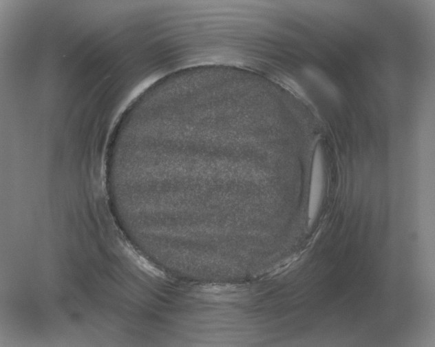 X0000082200780200702021843