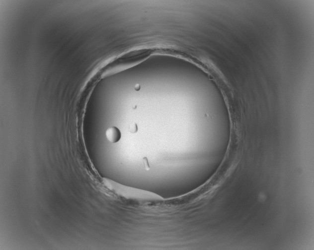 X0000082200781200702021843