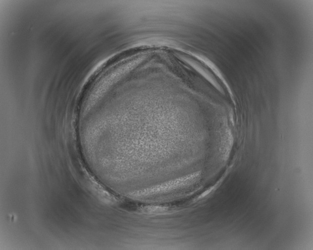 X0000082200783200702021843