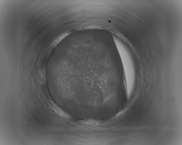 X0000082200785200702021843