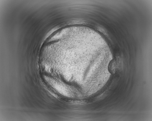 X0000082200786200702021843