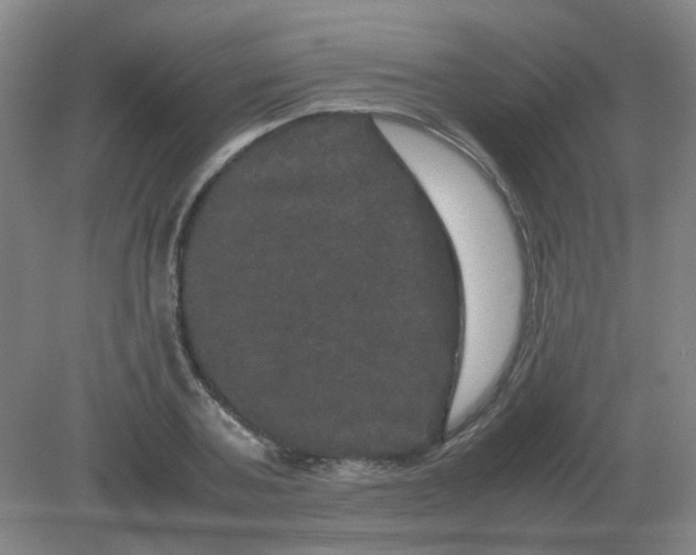 X0000082200787200702021843