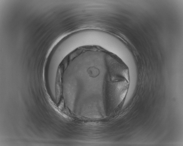 X0000082200788200702021843