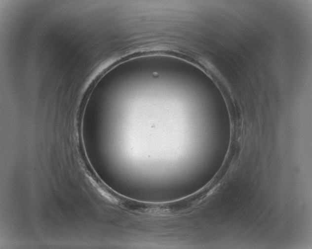 X0000082200789200702021843