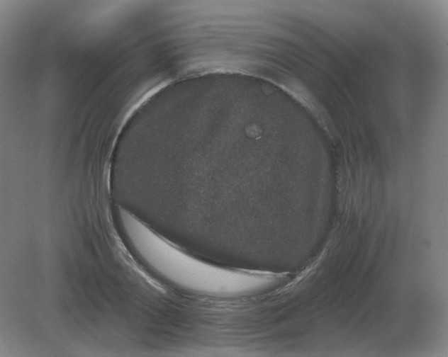 X0000082200790200702021843