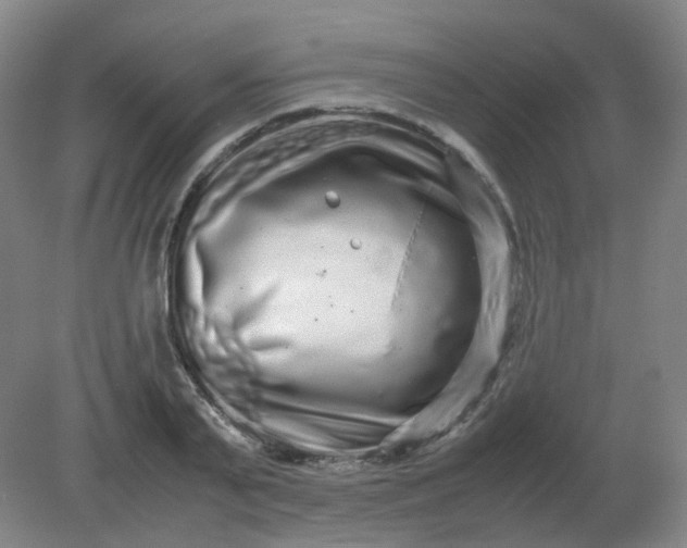 X0000082200791200702021843