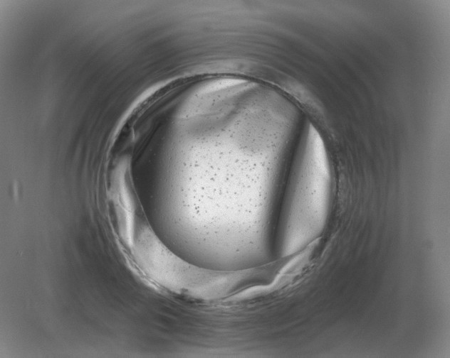 X0000082200792200702021843