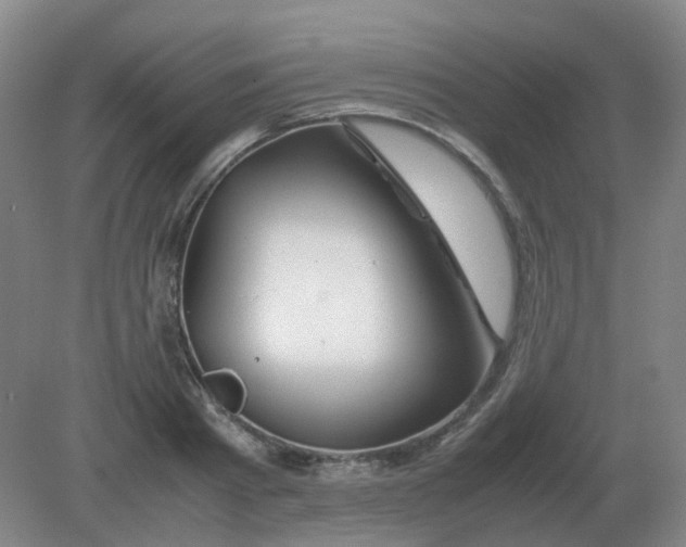 X0000082200793200702021843