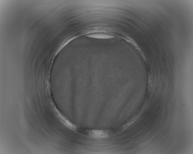 X0000082200794200702021843