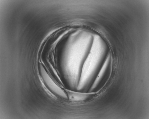 X0000082200795200702021843