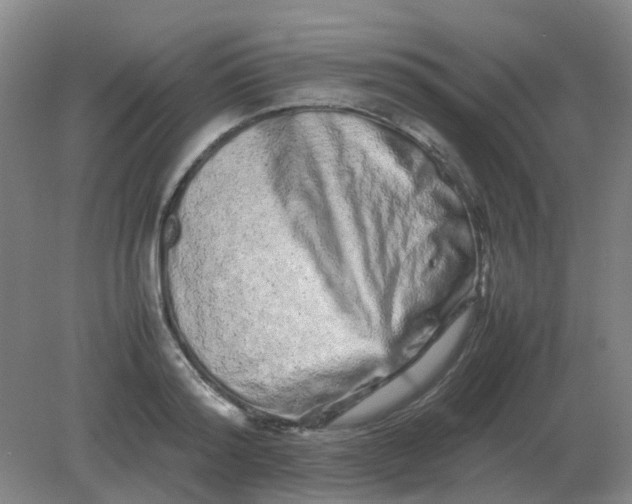 X0000082200796200702021843