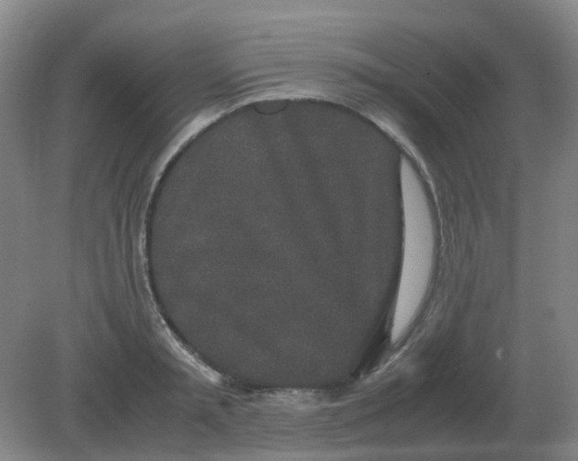 X0000082200797200702021843