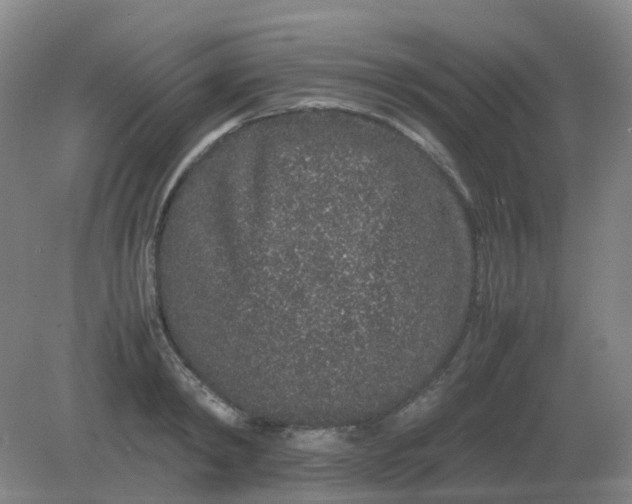 X0000082200798200702021843