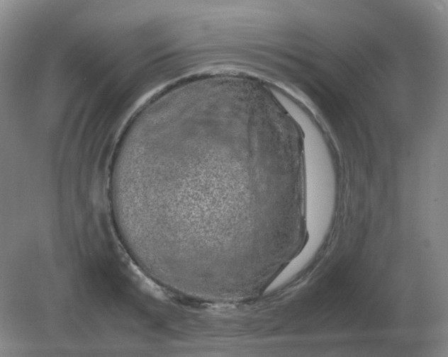 X0000082200799200702021843