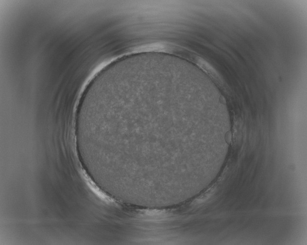 X0000082200800200702021843