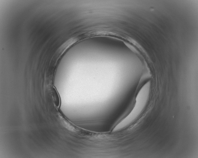 X0000082200801200702021843