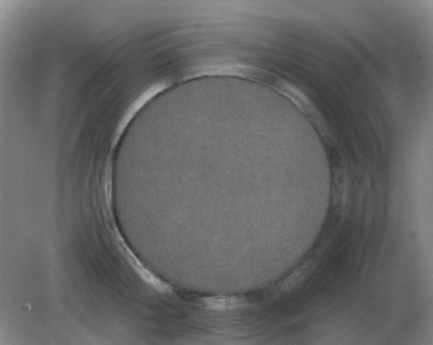 X0000082200804200702021843