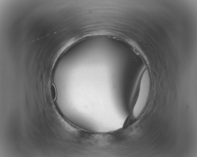 X0000082200805200702021843