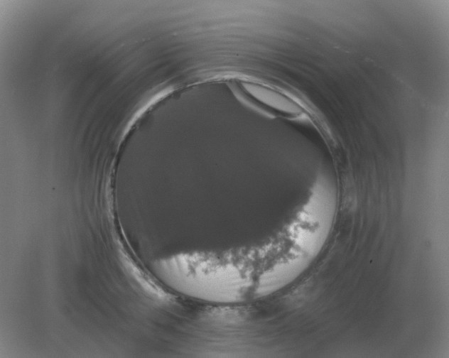 X0000082200806200702021843