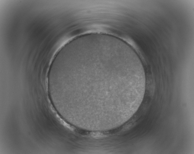 X0000082200807200702021843