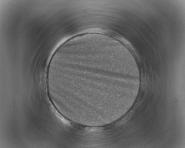 X0000082200808200702021842