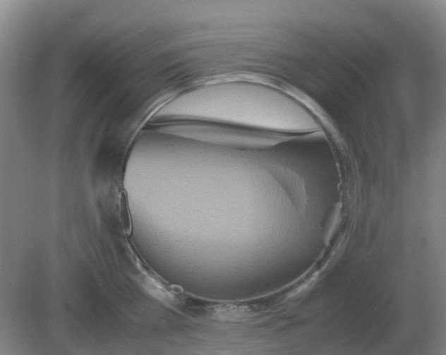 X0000082200809200702021842