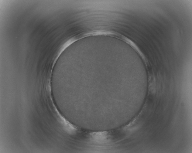 X0000082200810200702021842