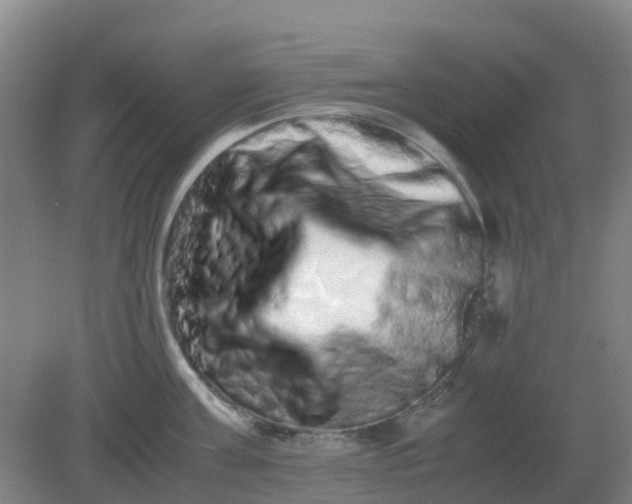 X0000082200811200702021842