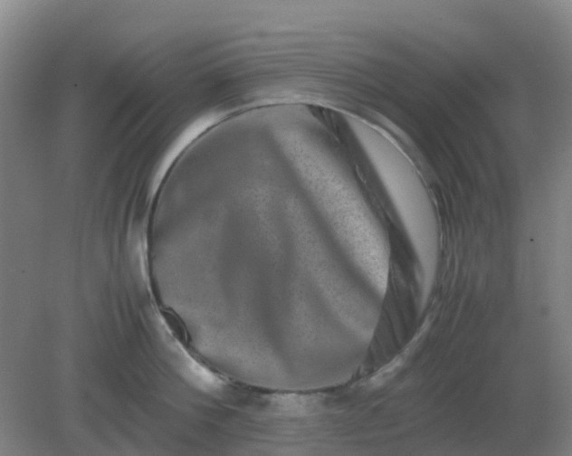 X0000082200812200702021842