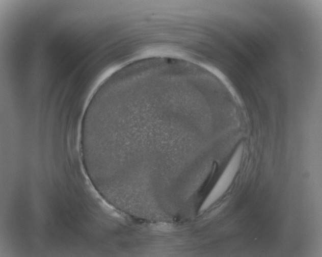 X0000082200815200702021842