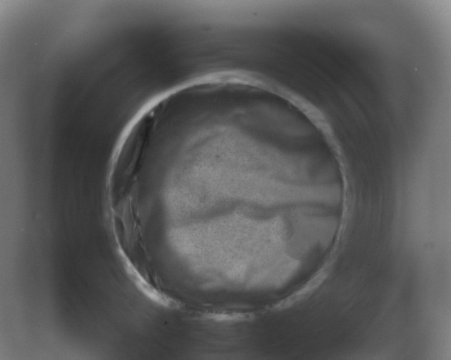 X0000082200816200702021842