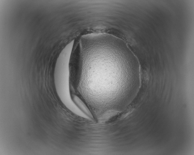 X0000082200818200702021842