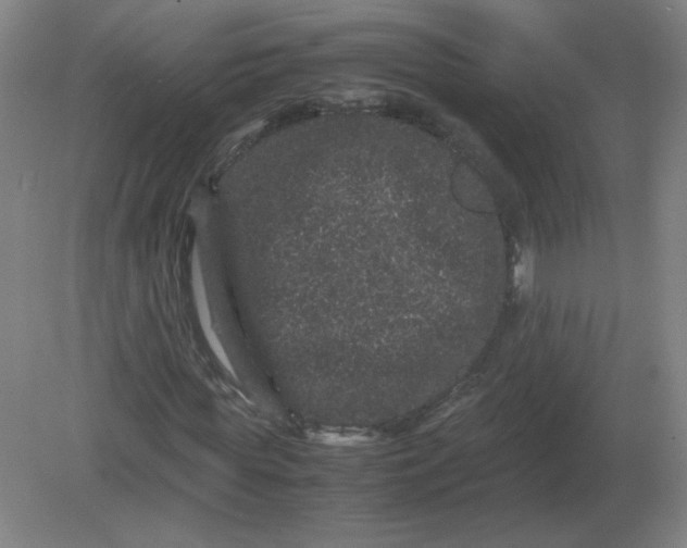 X0000082200819200702021842