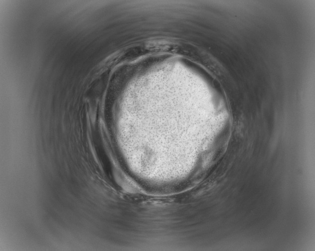 X0000082200821200702021842