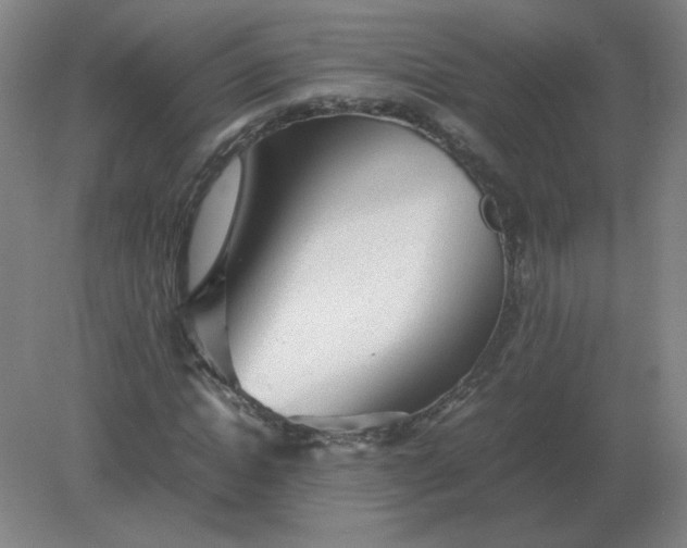 X0000082200822200702021842