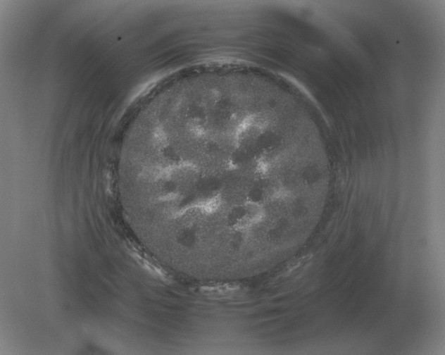 X0000082200823200702021842