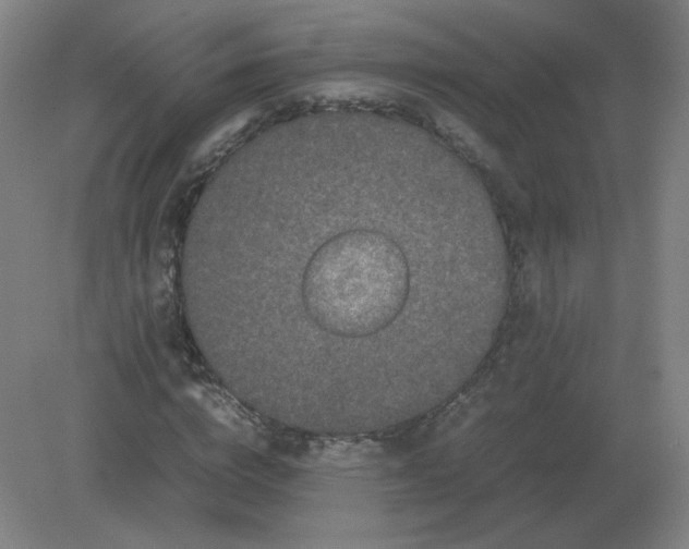 X0000082200824200702021842