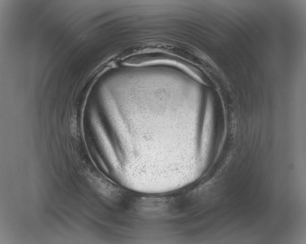 X0000082200825200702021842