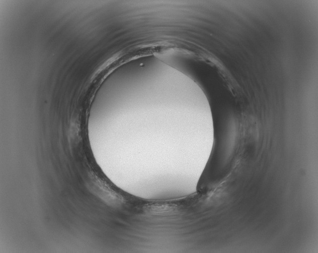 X0000082200826200702021842