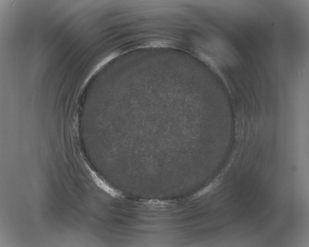 X0000082200827200702021842