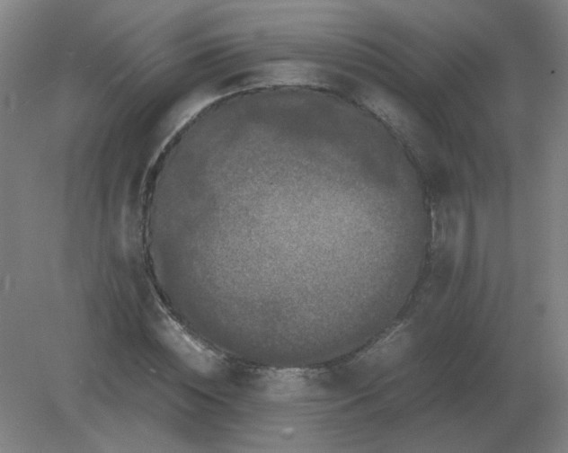 X0000082200828200702021842