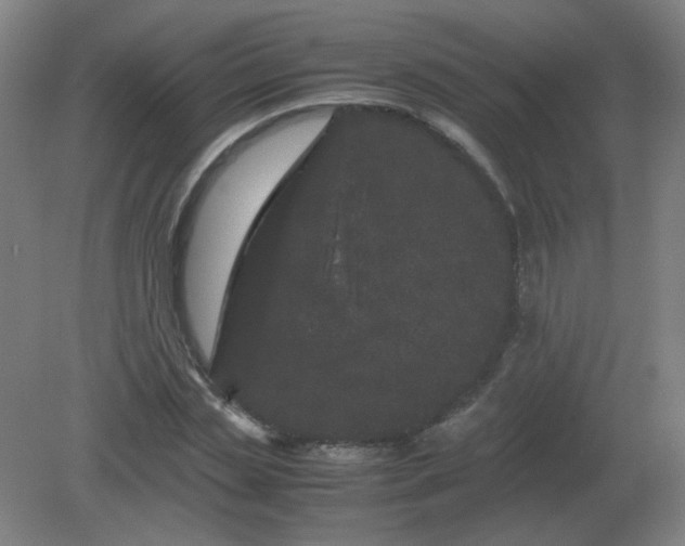 X0000082200829200702021842