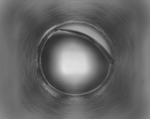 X0000082200830200702021842