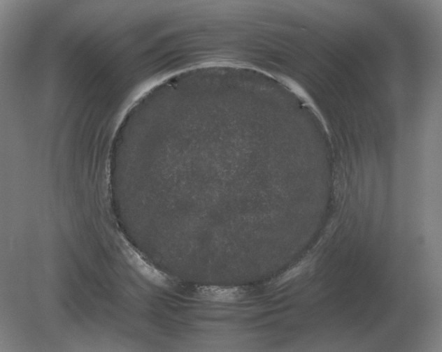 X0000082200831200702021842