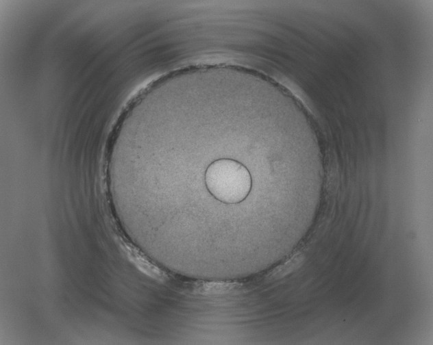 X0000082200832200702021842