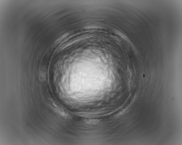 X0000082200833200702021842