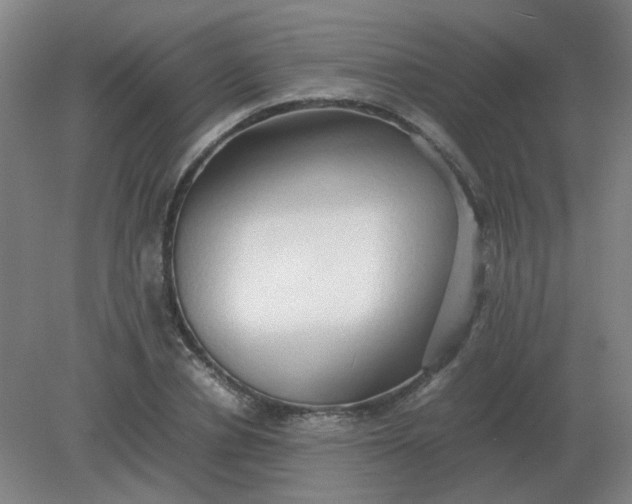 X0000082200834200702021842