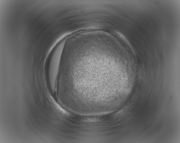 X0000082200835200702021842