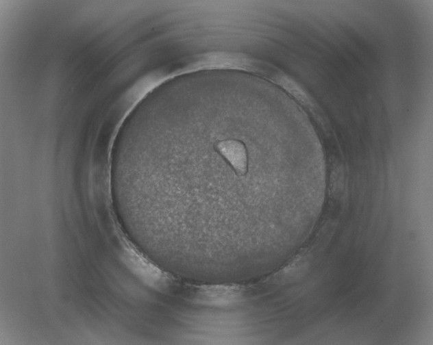 X0000082200836200702021842