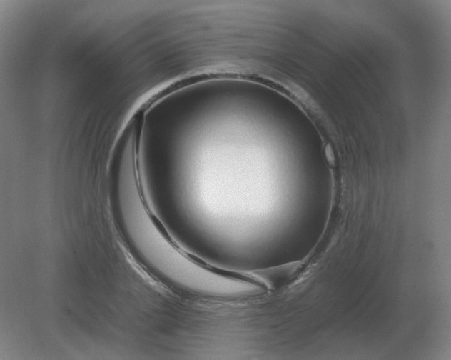 X0000082200838200702021842